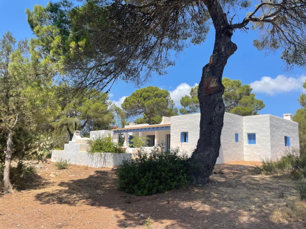 Sa Tanca Des Pla Villa San Francisco Javier Eksteriør bilde